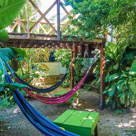 Ciao Cacao Hostel & Vegan Cafe Флорес Экстерьер фото