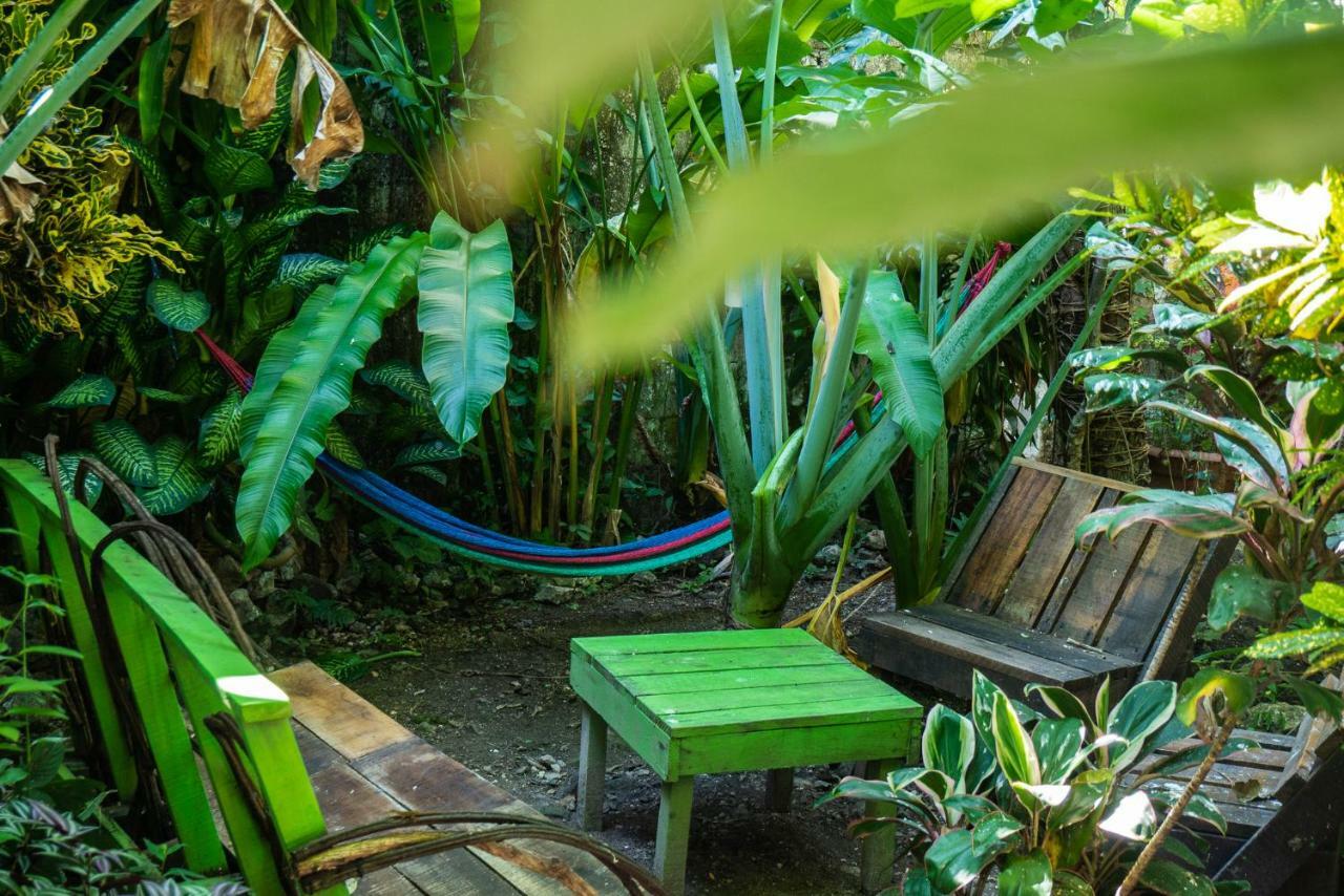 Ciao Cacao Hostel & Vegan Cafe Флорес Экстерьер фото