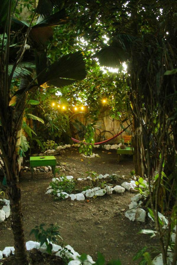Ciao Cacao Hostel & Vegan Cafe Флорес Экстерьер фото