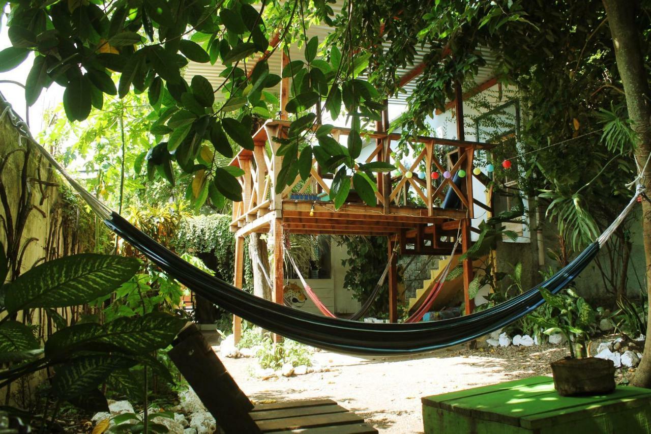 Ciao Cacao Hostel & Vegan Cafe Флорес Экстерьер фото