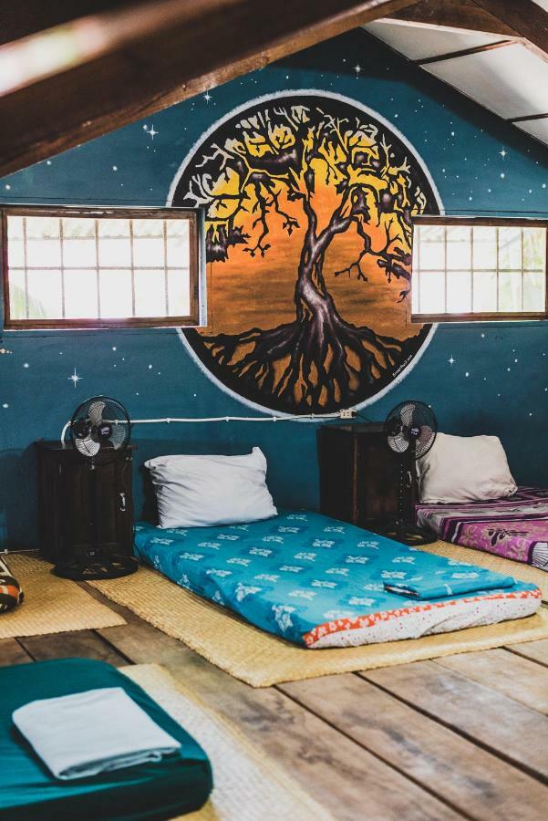 Ciao Cacao Hostel & Vegan Cafe Флорес Экстерьер фото
